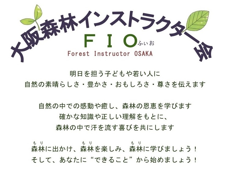 FIOの紹介1